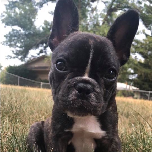 Meet your Posher, Amy - Picture 4 of 4